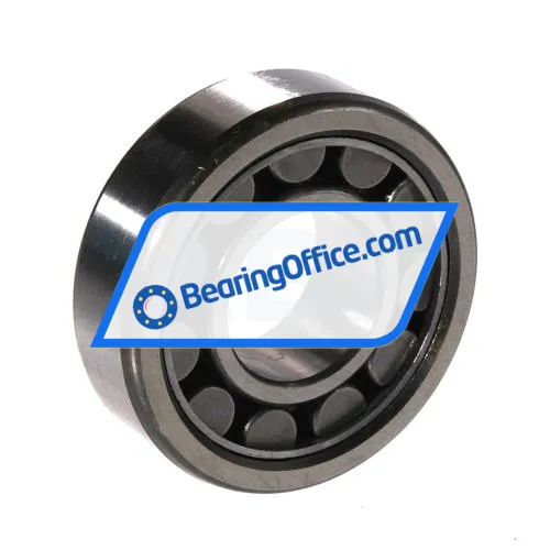 URB NU204E bearing image 2