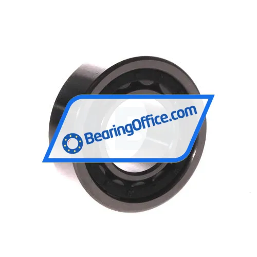 FBJ NU2206E C3 bearing image 2