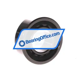 FBJ NU2206E C3 rulman resim 2