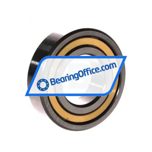 FBJ NJ206EM C3 bearing image 2