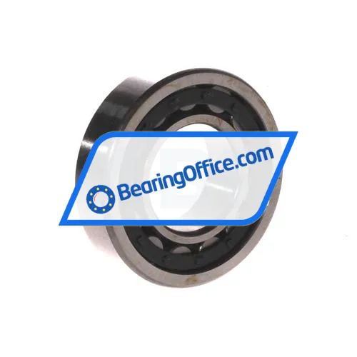 FBJ NU206E C3 bearing image 2