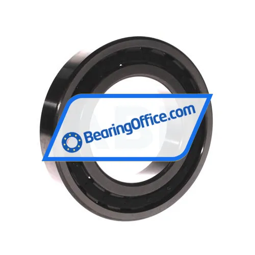 FBJ NJ216E bearing image 2