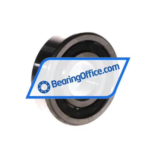 FBJ NJ304E bearing image 2