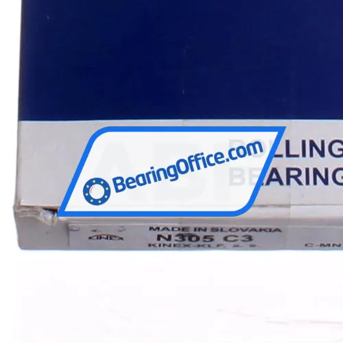 Kinex N305C3 bearing image 5