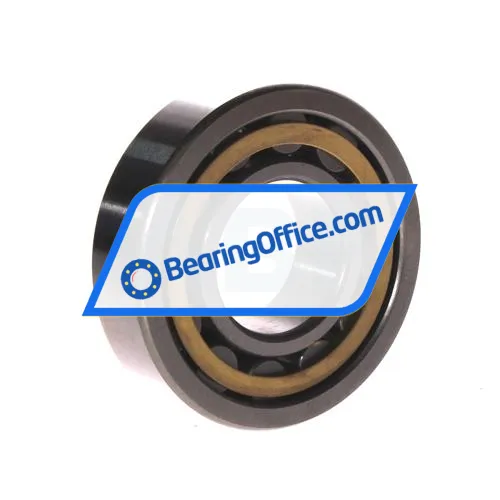 FBJ NU307EM C3 bearing image 2
