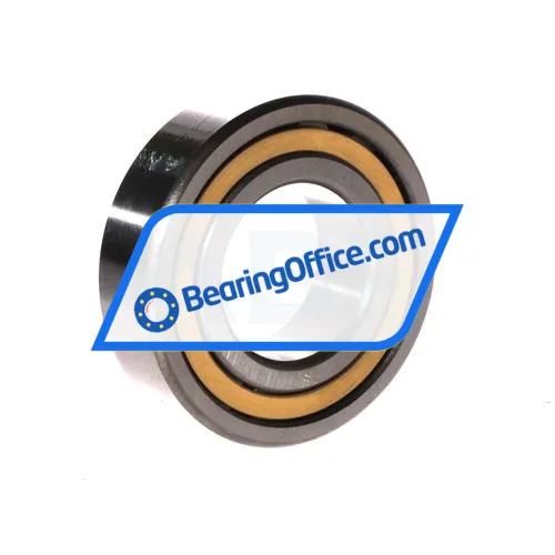 FBJ NUP2208E C3 bearing image 2