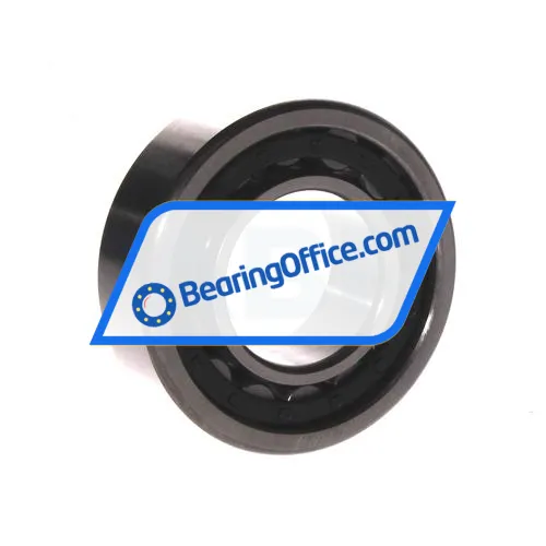 FBJ NU2207E C3 bearing image 2