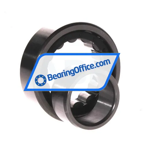 FBJ NU2207E C3 bearing image 3