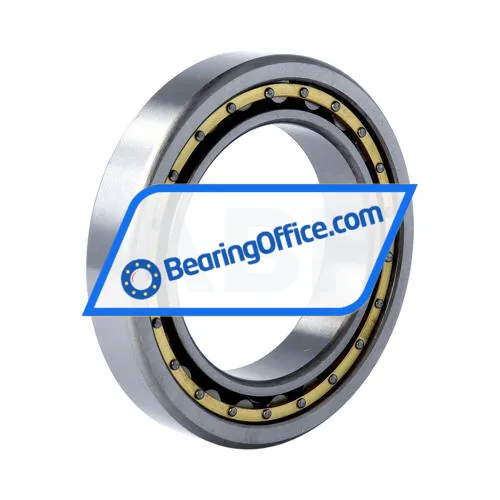 FBJ NU1013EM C3 bearing image 2