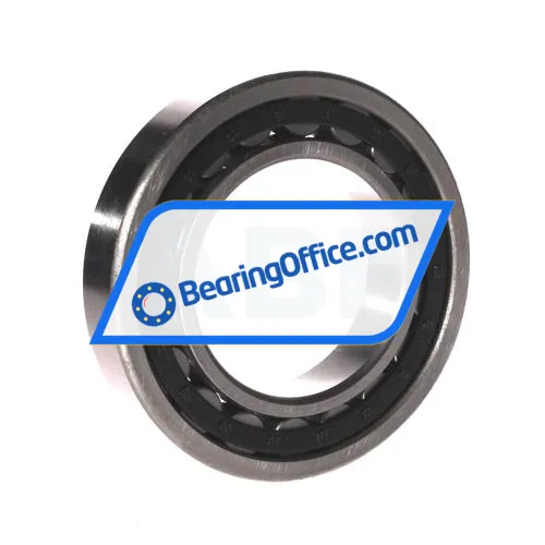 FBJ NU215E bearing image 2