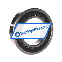 FBJ NU215E rulman resim 2