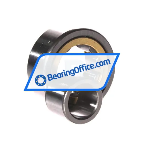 FBJ NU2304EM C3 bearing image 3