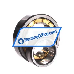 ZWZ NU311EM rulman resim 3