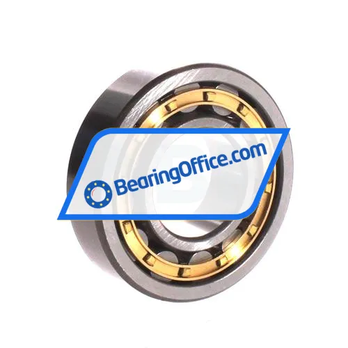 ZWZ NU308EM bearing image 2