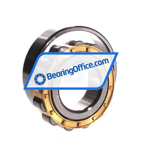 ZWZ N311EM bearing image 3