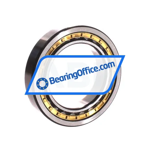 ZWZ NU1012M bearing image 2