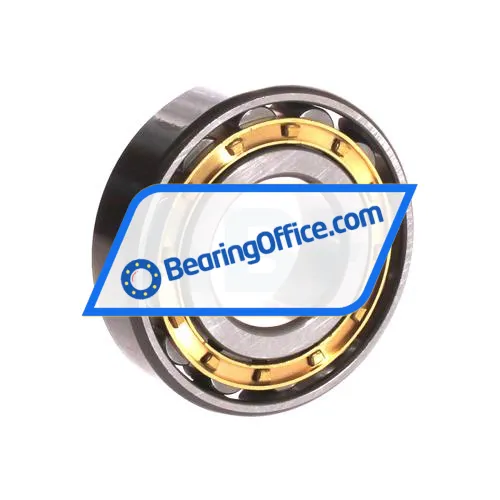ZWZ N308EM bearing image 2