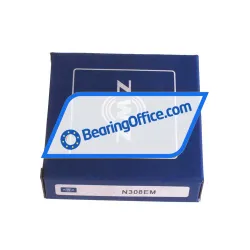 ZWZ N308EM rulman resim 4