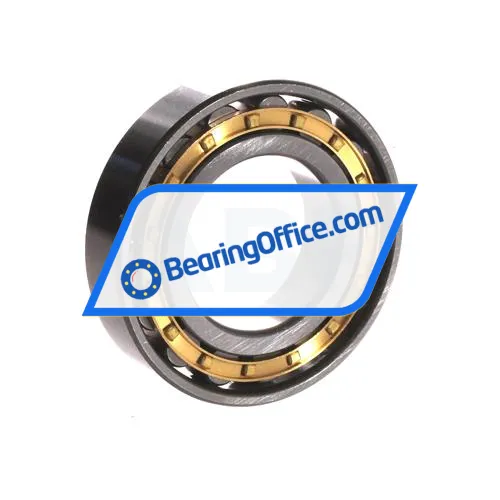 ZWZ N209EM bearing image 2