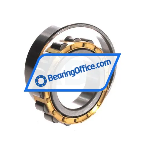 ZWZ N209EM bearing image 3