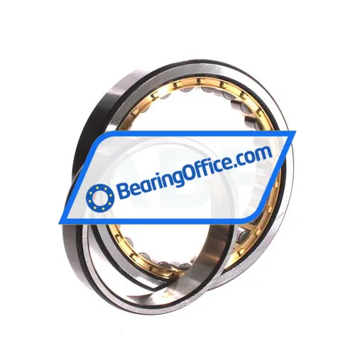 ZWZ NU1016M bearing image 3