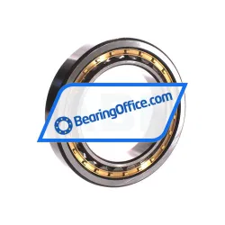 ZWZ NU1016M rulman resim 2