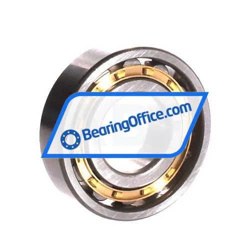 ZWZ N307EM bearing image 2