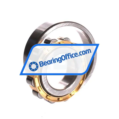 ZWZ N307EM bearing image 3