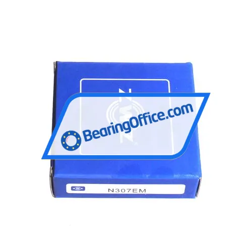 ZWZ N307EM bearing image 4