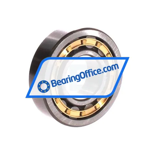 ZWZ NU307EM bearing image 2