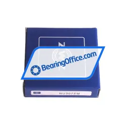 ZWZ NU307EM rulman resim 4