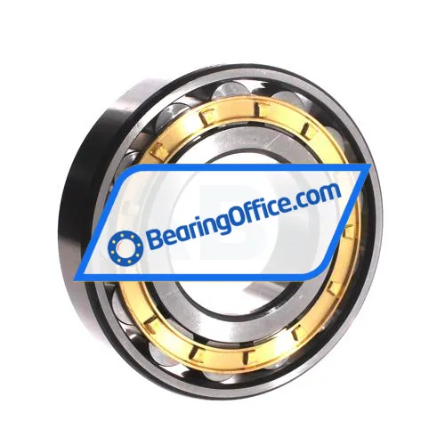 ZWZ N315EM bearing image 2