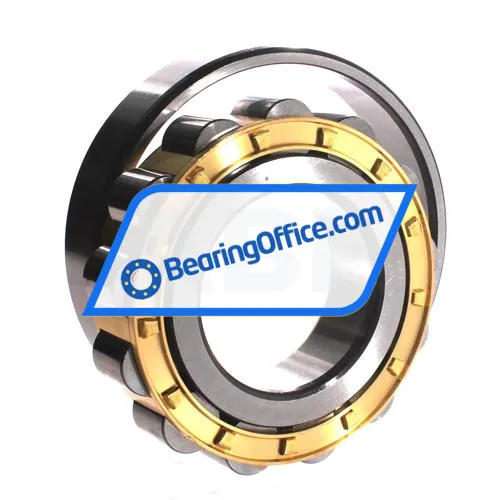 ZWZ N315EM bearing image 3