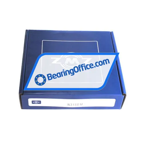 ZWZ N315EM bearing image 4