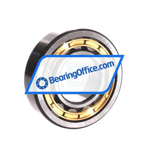 ZWZ NU309EM bearing image 2