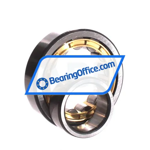 ZWZ NU309EM bearing image 3