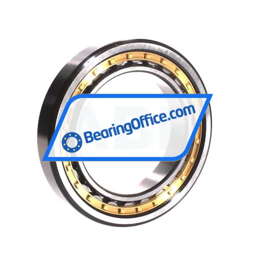 ZWZ NU1018M bearing image 2
