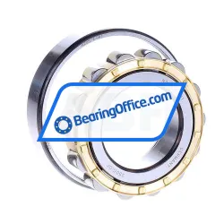 FAG N208E-M1 rulman resim 2