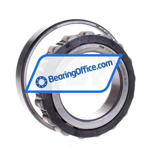 FAG N218E-TVP2-C3 bearing image 2