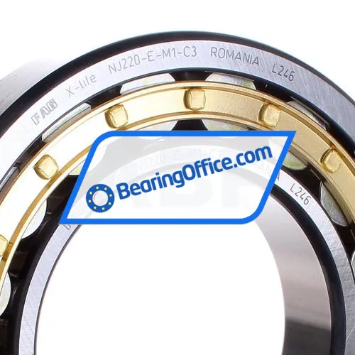 FAG NJ220-E-M1-C3 bearing image 2