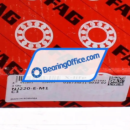 FAG NJ220-E-M1-C3 bearing image 6