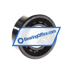 FAG RNU2206-E-XL-TVP2