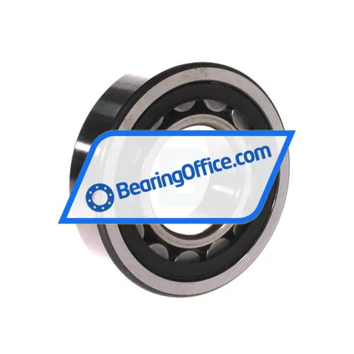 FAG NU310E-TVP2-C4 bearing image 2