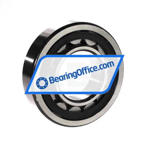 FAG NU313E-TVP2 bearing image 2