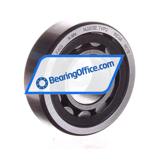 FAG NJ203E-TVP2