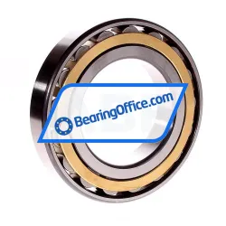 FAG N217E-M1-C3 rulman resim 3