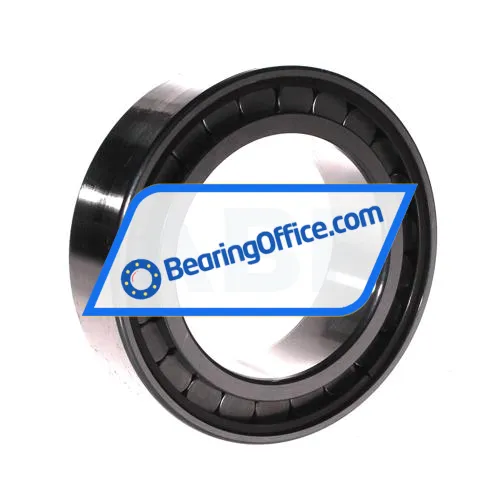 INA SL18-3016A C3 bearing image 2