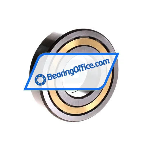 FAG NUP309-E-M1 bearing image 2