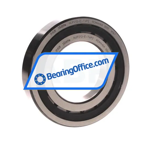 FAG NUP213E-TVP2