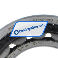 FAG NJ219E-TVP2-C3 rulman resim 4